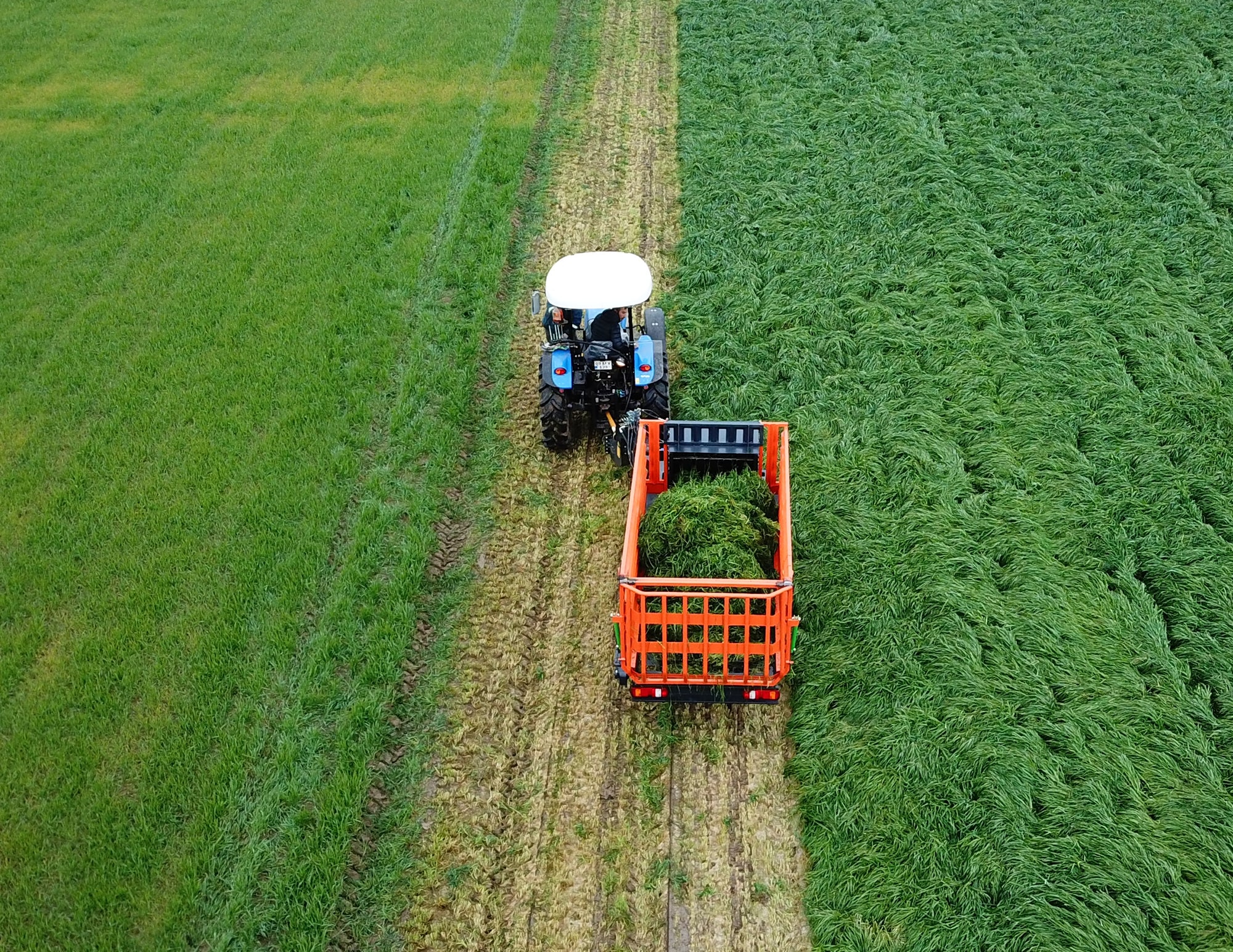 Fotoğraf 14